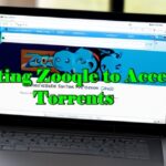 Navigating-Zooqle-to-Accessing-Torrents