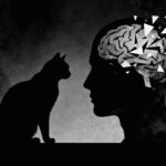 Cat Ownership’s Shocking Schizophrenia Risk