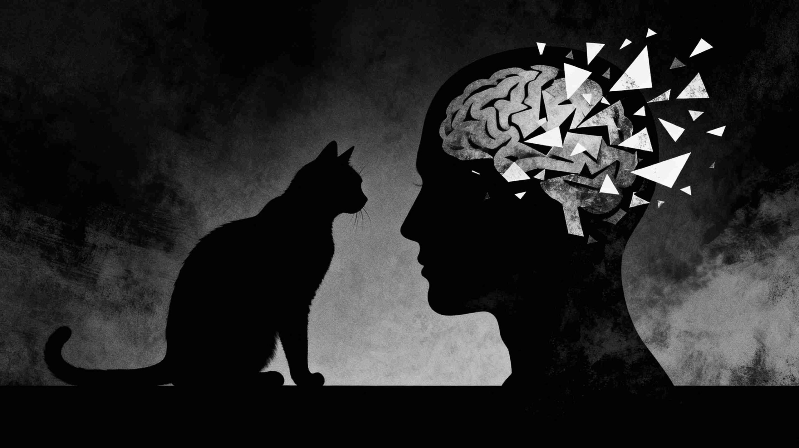 Cat Ownership’s Shocking Schizophrenia Risk